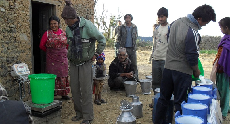 सहकारीमार्फत दैनिक सात लाख लिटर दूध उत्पादन